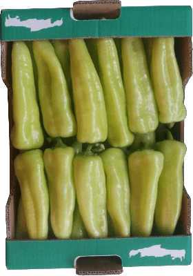 piperia makria kalogiros siskevastirio